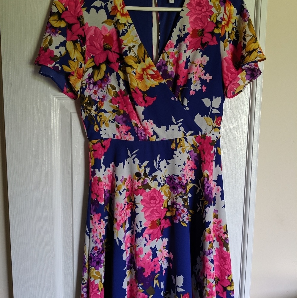 Express Floral Dress